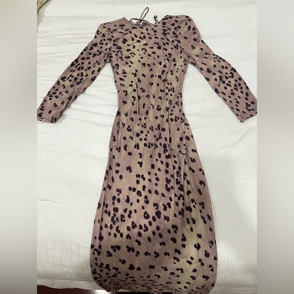 StockholmAtelier, and Other Stories Cheetah Print Long Sleeve Dress
